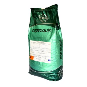CAPSOQUIN ON