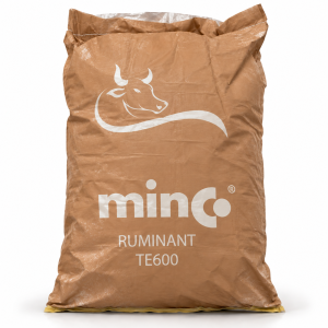 RUMINANT TE600
